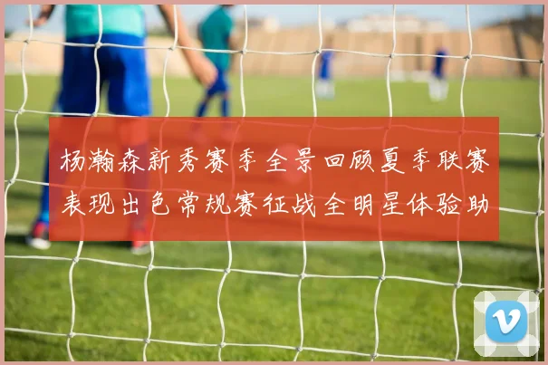 杨瀚森新秀赛季全景回顾夏季联赛表现出色常规赛征战全明星体验助力季后赛